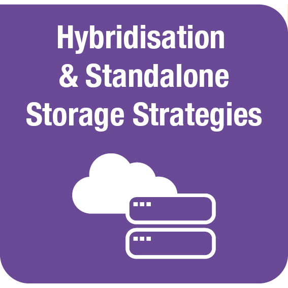 Hybridisation & Standalone Storage Strategies